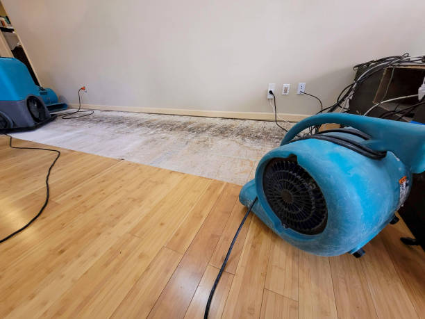 Professional Ceiling Water Damage Repair technician working in Alto, TX